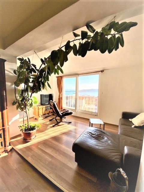 Amarante Apartments Каштела Екстер'єр фото